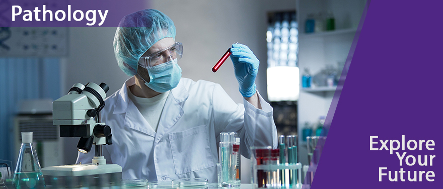 Individual examining test tube